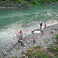 Image00007.jpg
