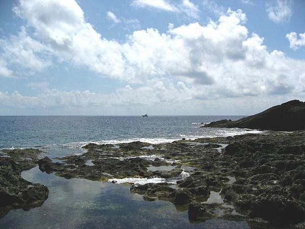 Image00137.jpg