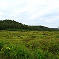 Image00232.jpg