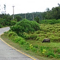 Image00233.jpg