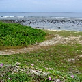 Image00237.jpg
