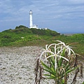 Image00239.jpg