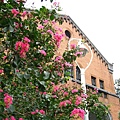 Image00003.jpg