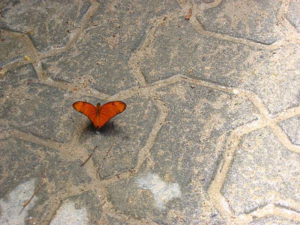 Image00391.jpg