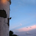 Image00475.jpg