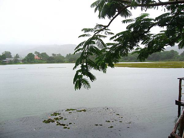 Image00718.jpg