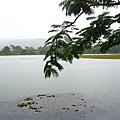 Image00718.jpg