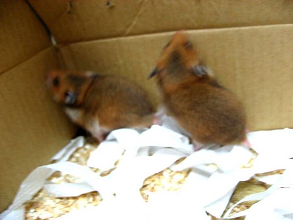 Image00002.jpg