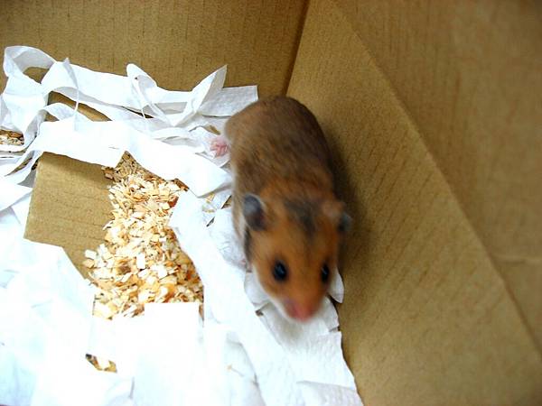 Image00001.jpg