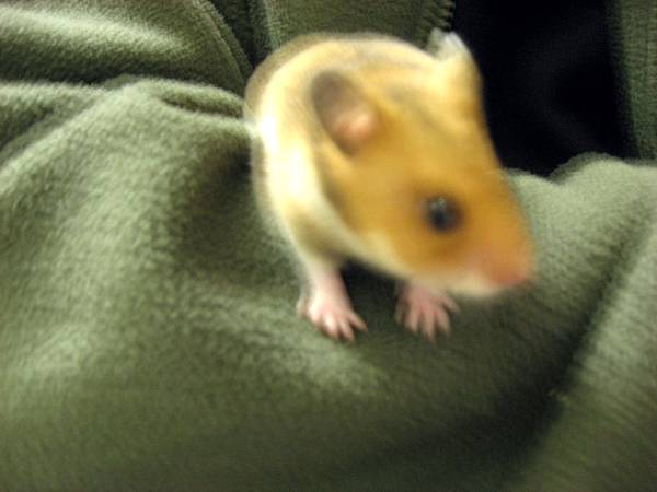 Image00003.jpg