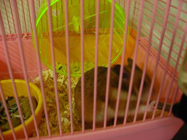 IMG_2664.JPG