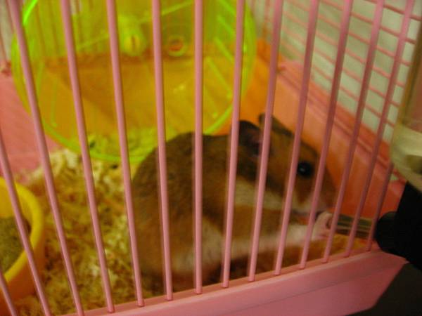 IMG_2665.JPG