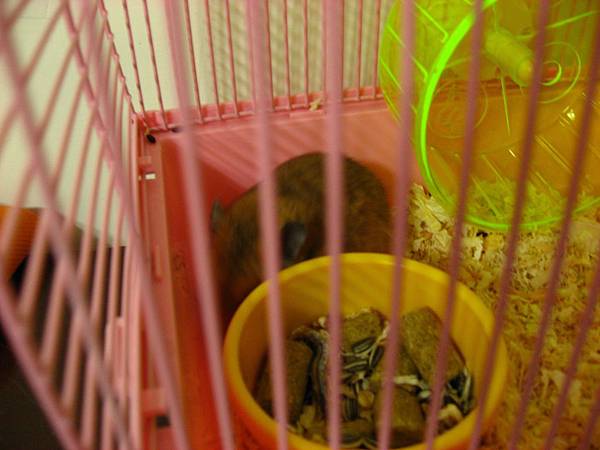 IMG_2669.JPG