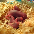 Image00005.jpg