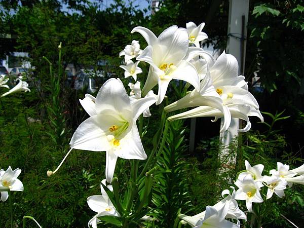 Image00001.jpg