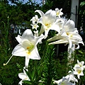 Image00001.jpg