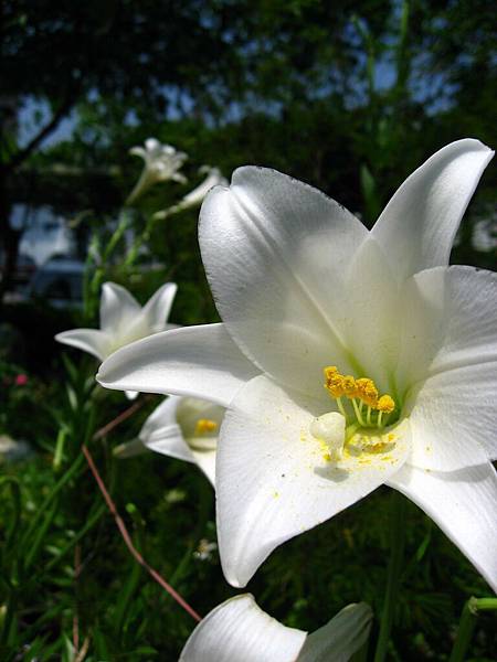 Image00002.jpg
