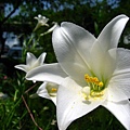 Image00002.jpg