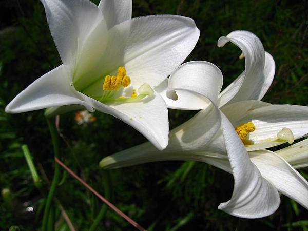 Image00003.jpg