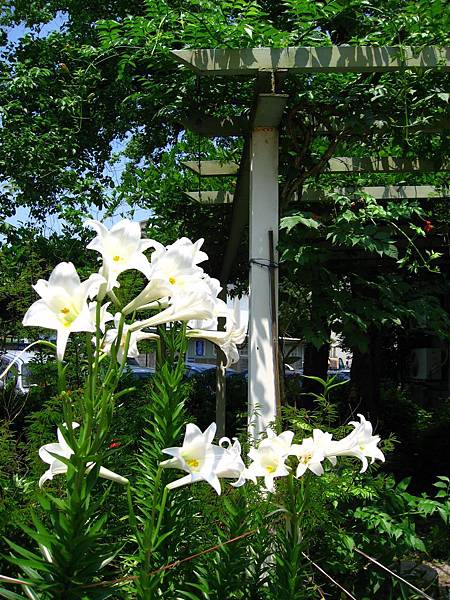 Image00007.jpg