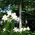 Image00007.jpg