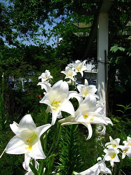 Image00008.jpg