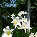 Image00008.jpg
