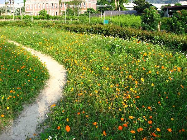 Image00010.jpg