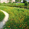 Image00010.jpg