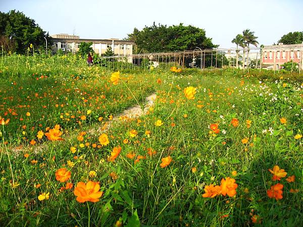 Image00012.jpg