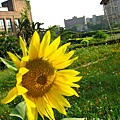 Image00015.jpg