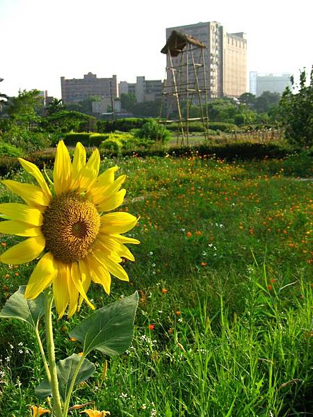 Image00016.jpg