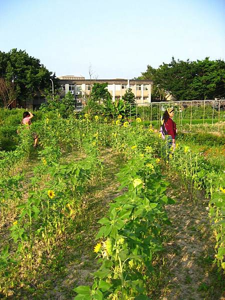 Image00017.jpg