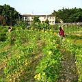 Image00017.jpg