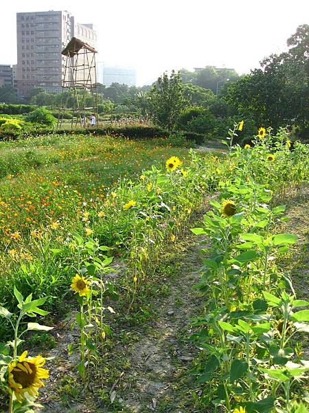 Image00018.jpg