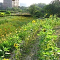 Image00018.jpg