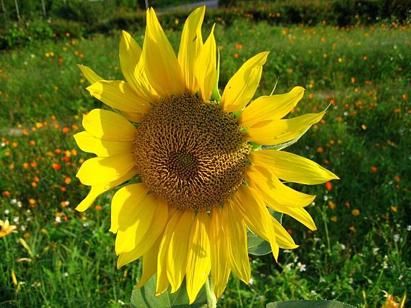 Image00020.jpg