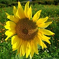 Image00020.jpg