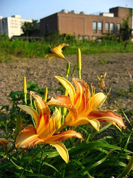 Image00027.jpg