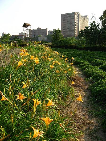 Image00028.jpg