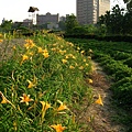 Image00028.jpg