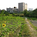 Image00030.jpg