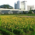 Image00035.jpg