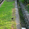Image00037.jpg
