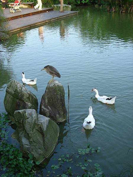 Image00039.jpg