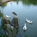Image00039.jpg