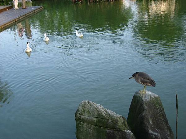 Image00041.jpg