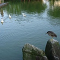 Image00041.jpg