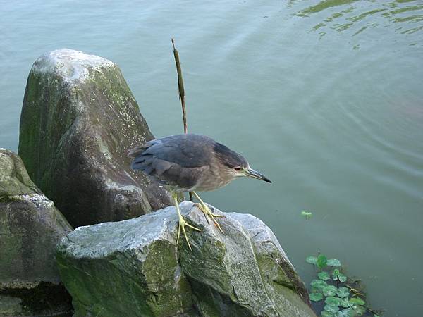 Image00043.jpg