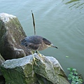 Image00043.jpg